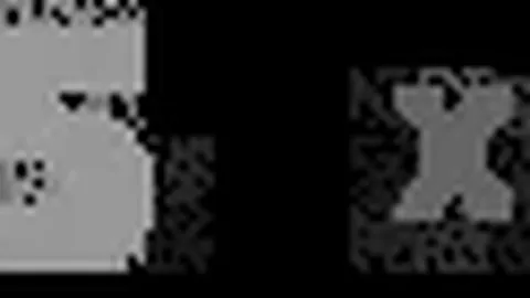 晨安！揭秘重力挑战者，若无绑重物，岂不直冲云霄？