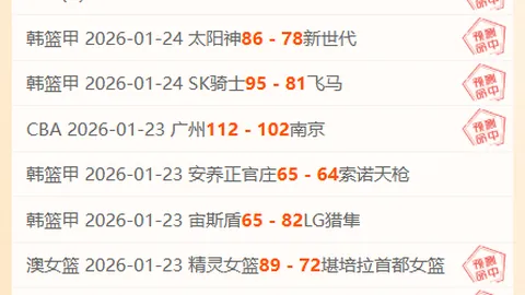 勒沃库森力克圣保利，维尔茨进球建功